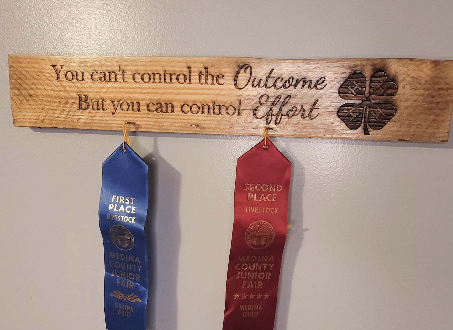 4-H Ribbon Holder